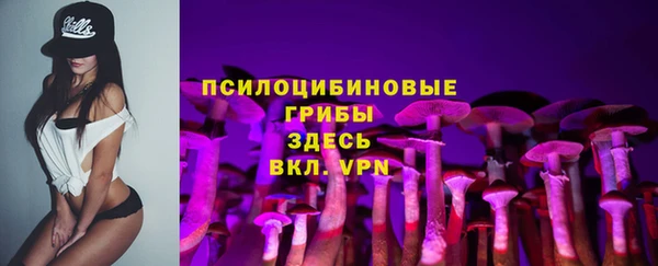 экстази Горняк
