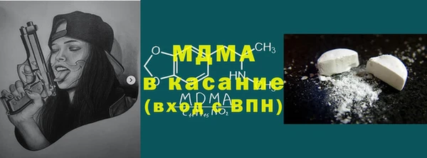 твердый Тайга