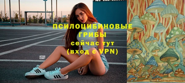 экстази Горняк