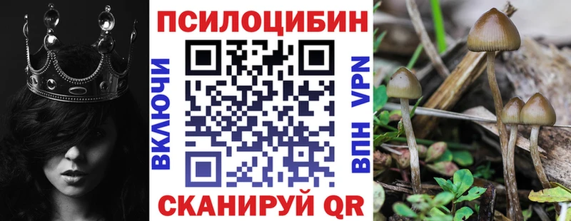 Галлюциногенные грибы ЛСД  darknet наркотические препараты  Донской  mega  