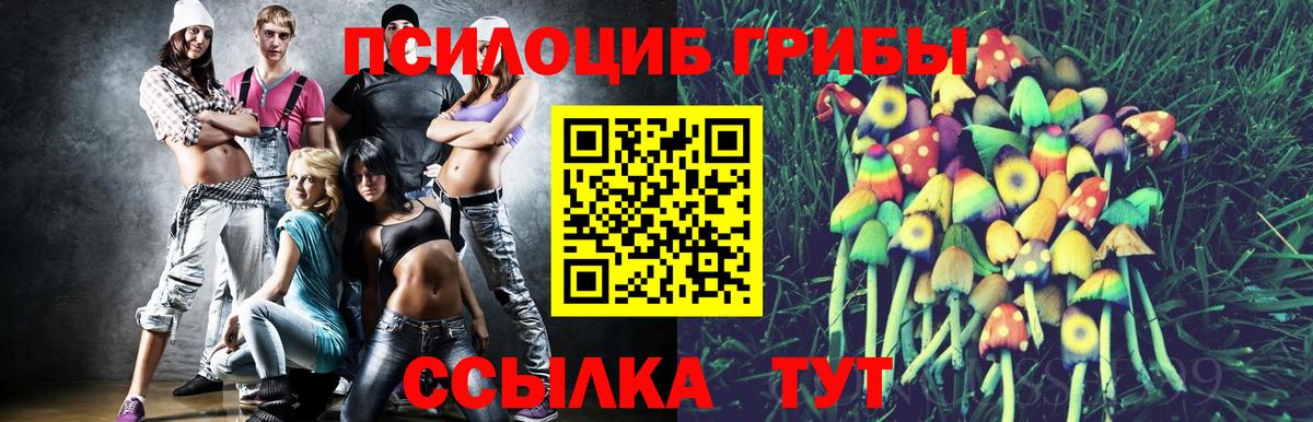 Галлюциногенные грибы GOLDEN TEACHER Донской